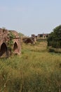 Abandoned nature on new delhi