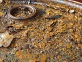 Abandoned Oil Drum Royalty Free Stock Photo