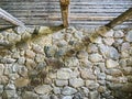 Abandoned old barn with stone walls and wooden beams under roof. interior view Royalty Free Stock Photo