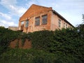 Abandoned old brick house Among the greenery Royalty Free Stock Photo