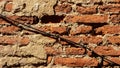 Abandoned old brick wall texture. Royalty Free Stock Photo