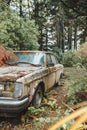 abandoned old car in the forest Royalty Free Stock Photo