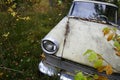 Abandoned old car in the forest Royalty Free Stock Photo