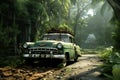 Abandoned old car in the tropical forest, cinematic Royalty Free Stock Photo