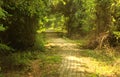 An abandoned old cement block platform. Royalty Free Stock Photo