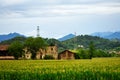 Abandoned old farm houses field of corn Lombardy Italy