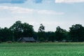 Abandoned old farmhouse and blue sky with clouds in Latvia in summer. Royalty Free Stock Photo