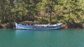 Abandoned Old Historic Wooden Boat on Sea at Edge of Forest