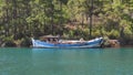 Abandoned Old Historic Wooden Boat on Sea at Edge of Forest