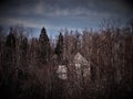 An abandoned old house hidden among the trees of spruce and beech, a forest idyll of unspoiled nature