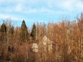 An abandoned old house hidden among the trees of spruce and beech, a forest idyll of unspoiled nature Royalty Free Stock Photo