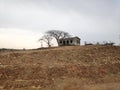 An abandoned old house on small hill with trees Royalty Free Stock Photo