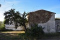 Abandoned old house