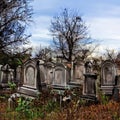 Abandoned old Jewish cemetery, generative AI