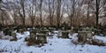 Abandoned old Jewish cemetery, generative AI