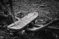 Abandoned old nostalgic toy. Aged wooden skateboard.