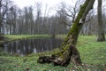 Abandoned old Park with a pond, deck, streams, ancient trees, garden benches in late autumn and leaf fall. Royalty Free Stock Photo