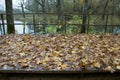 Abandoned old Park with a pond, streams, ancient trees, garden benches Royalty Free Stock Photo