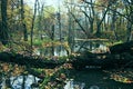 Abandoned old Park with a pond, streams, ancient trees, garden benches Royalty Free Stock Photo