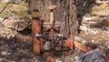 Abandoned Old Petrol Motor Rusting Under A Tree Sapphire Gemfields Australia