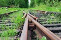 Old Railway In Forest Royalty Free Stock Photo