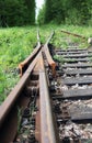 Old Railway In Forest Royalty Free Stock Photo