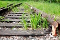Old Railway In Forest Royalty Free Stock Photo