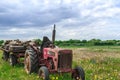 Abandoned Old Red Farm Tractor in Meadow Royalty Free Stock Photo