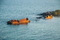 Abandoned old rusty shipwreck Royalty Free Stock Photo