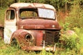 Abandoned, old, rusty truck sitting in overgrown grass