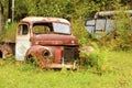 Abandoned, old, rusty truck sitting in overgrown grass