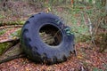 Old Truck Tire in Forest Royalty Free Stock Photo