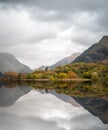 Abandoned old welsh castle standing forest trees reflecting on perfect still lake of water. Royalty Free Stock Photo