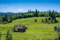 Abandoned old wood house on green meadow in the Carpathian mountains Royalty Free Stock Photo