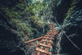 Abandoned old wooden bridge in jungle forest. Royalty Free Stock Photo
