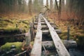 abandoned old wooden bridge on a forest trail Royalty Free Stock Photo