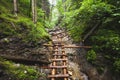 Abandoned old wooden bridge in jungle forest. Royalty Free Stock Photo