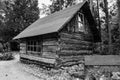 Abandoned old wooden house Cabin in the woods Royalty Free Stock Photo