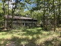 abandoned old wooden house in the forest Royalty Free Stock Photo