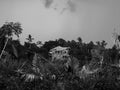 Abandoned old wooden house among the forest Royalty Free Stock Photo