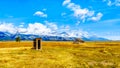 An abandoned Outhouse at Mormon Row with in the background cloud covered Peaks of the Grand Tetons In Grand Tetons National Park Royalty Free Stock Photo