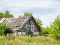 An abandoned overgrown building with a leaky roof. An old building among trees and grass. Devastation Royalty Free Stock Photo