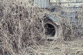Abandoned Overgrown Doghouse