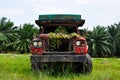 Abandoned overgrown lorry