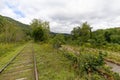 Abandoned, overgrown railroad train tracks along a rural river repurposed as trails for rail bikes in the Catskill Mountains of Ne