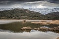 Abandoned and partially submerged stone building in lake in Corsica