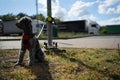 Abandoned pet dog leashed on parking sign pole Royalty Free Stock Photo