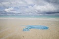 Abandoned plastic bag on sand beach against sea