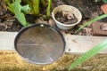 abandoned plastic bowl in a vase with stagnant water inside. close up view mosquitoes in potential breeding.proliferation of aedes