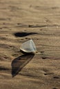 Abandoned plastic cup on the beach.